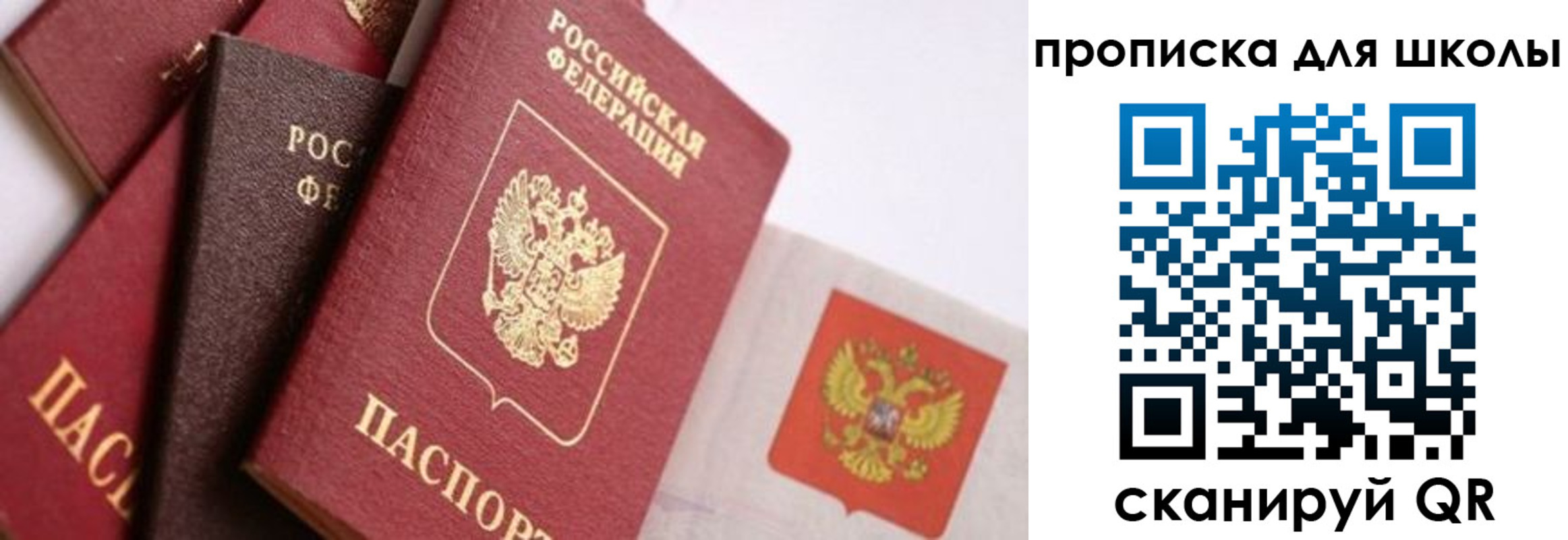 прописка поиск в Шлиссельбурге